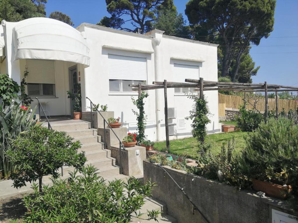Villa La Mouette Di Nico Capri Exterior foto